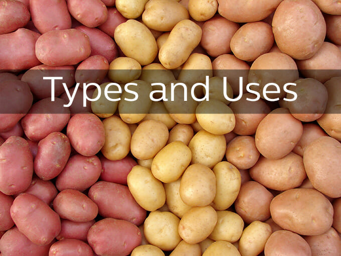 The Variety Of Fresh Potatoes You Need To Know About
